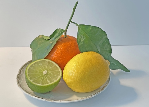 Creating Fruit in 3 Different Art Mediums: Week 1 Graphite Pencils