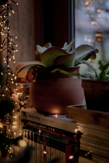 Book Mavens