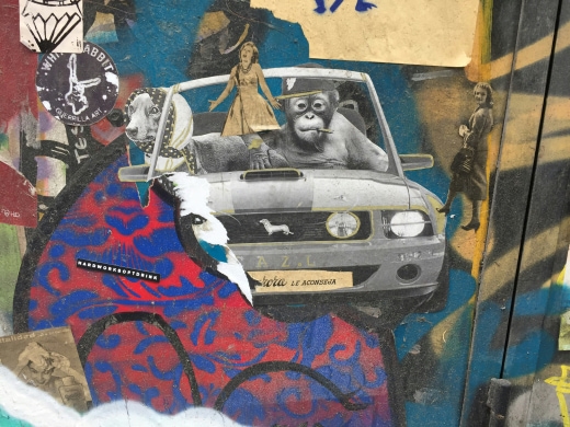Collage Art Class