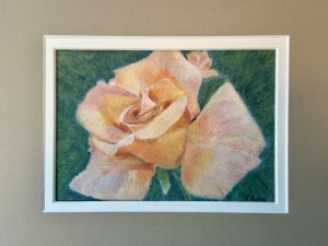 Botanical Drawing with Colored Pencils - Roses