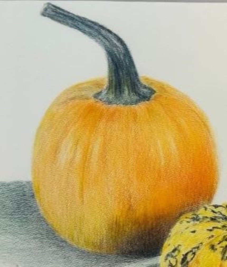 Botanical Drawing with Colored Pencils Pumpkins