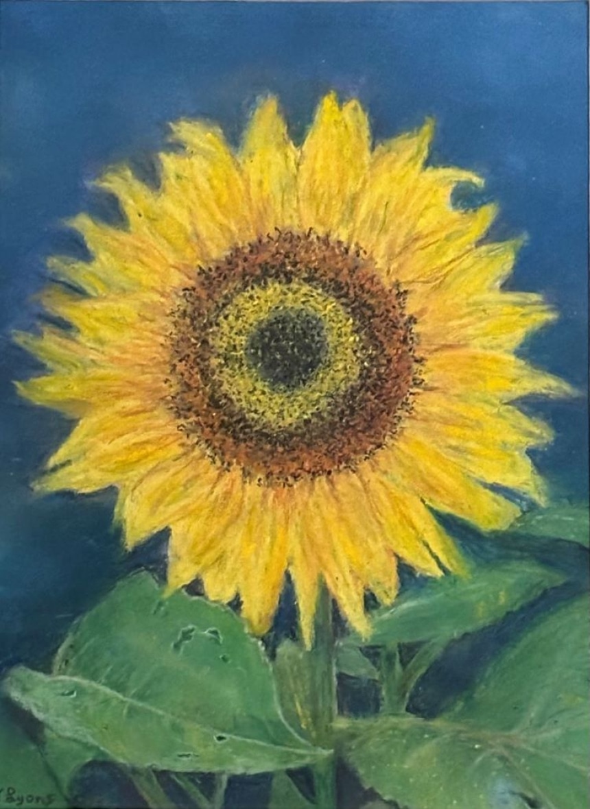 Painting Sunflowers with Soft Pastels