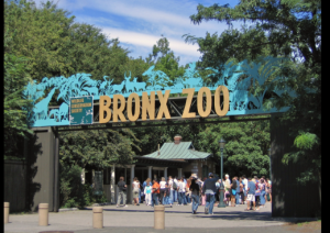 Day Trip to the Bronx Zoo (For ages 2 years and up)